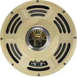 Mojotone Alnico Anthem 10