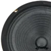 Mojotone Anthem 8" 8 Ohms Speaker
