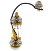 Mojotone SC Junior Prewired Harness