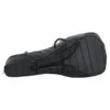 Mono Cases Dual Acoustic + Electric