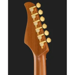Mooer GTRS Guitars Standard 900 W RG