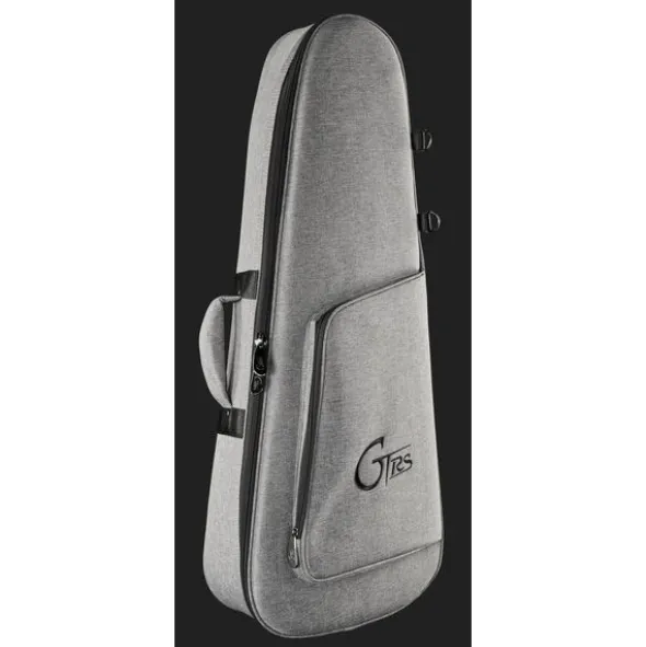 Mooer GTRS Guitars Wing 900 Int API