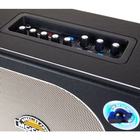 Mooer Hornet Black 30W Modeling Amp