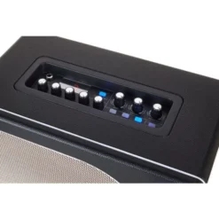 Mooer Hornet Black 30W Modeling Amp