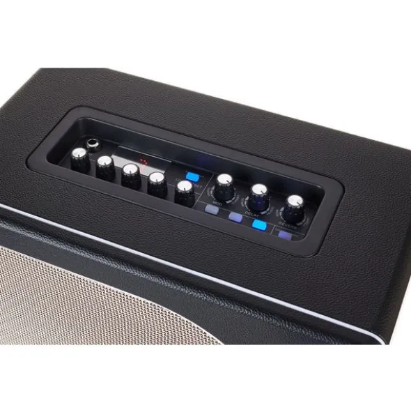 Mooer Hornet Black 30W Modeling Amp