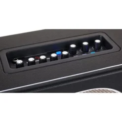 Mooer Hornet Black 30W Modeling Amp