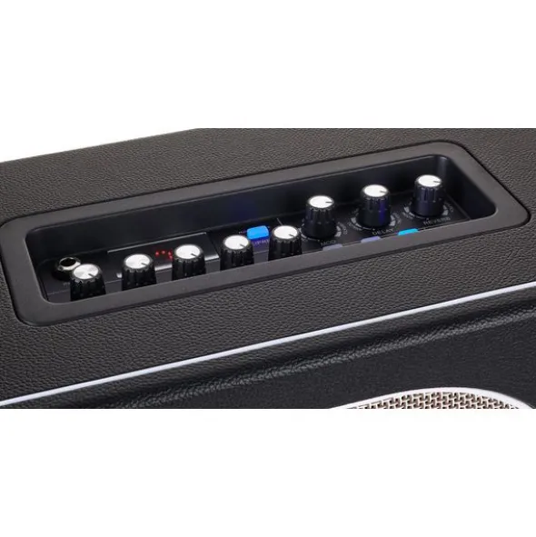 Mooer Hornet Black 30W Modeling Amp