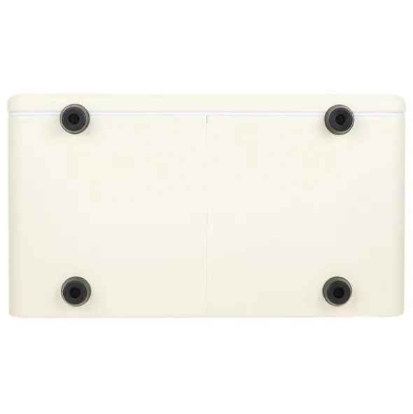Mooer Hornet 15i Modeling Amp White