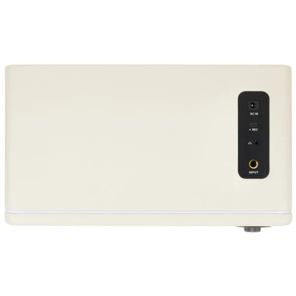 Mooer Hornet 15i Modeling Amp White