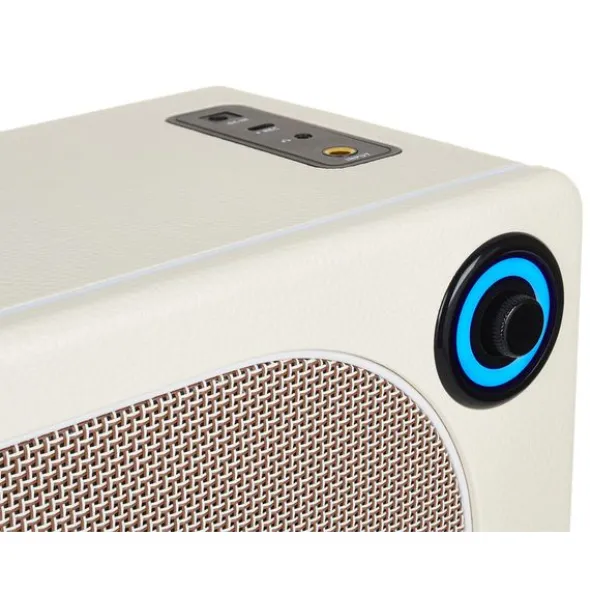 Mooer Hornet 15i Modeling Amp White
