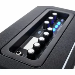 Mooer Hornet Modeling/BT Combo BLK