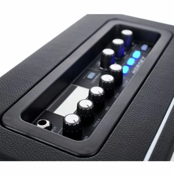 Mooer Hornet Modeling/BT Combo BLK