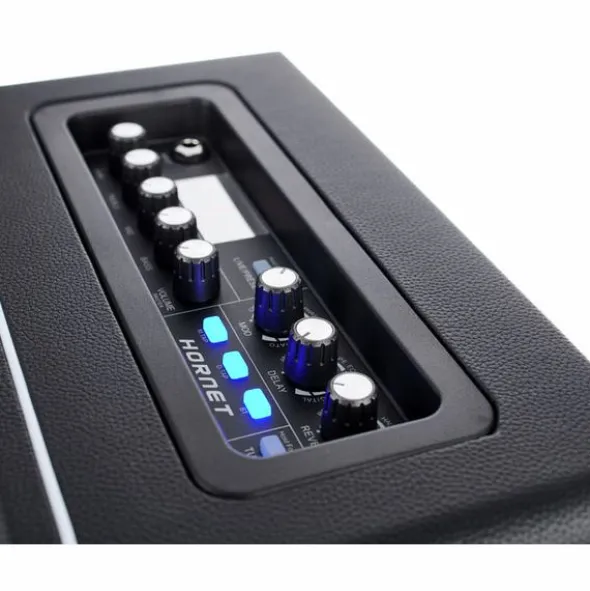 Mooer Hornet Modeling/BT Combo BLK
