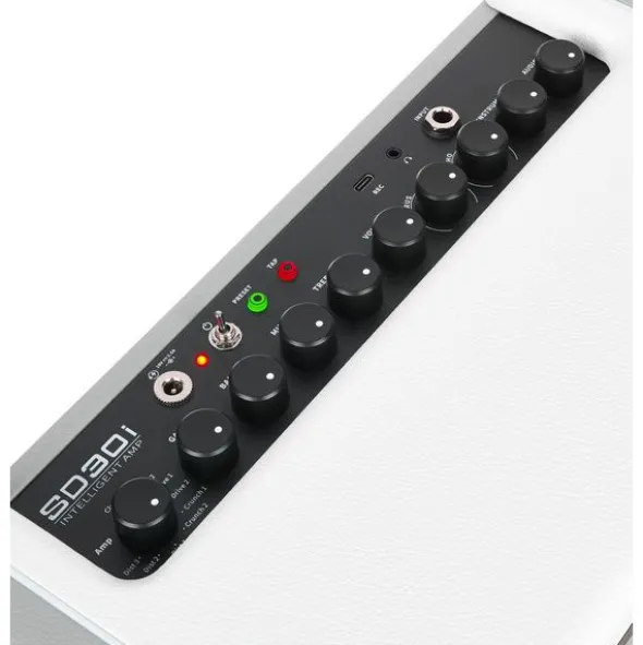 Mooer SD30i Modeling Guitar Combo