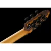NOVA Guitars Innovator w/PU