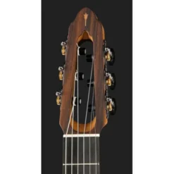 NOVA Guitars Innovator w/PU