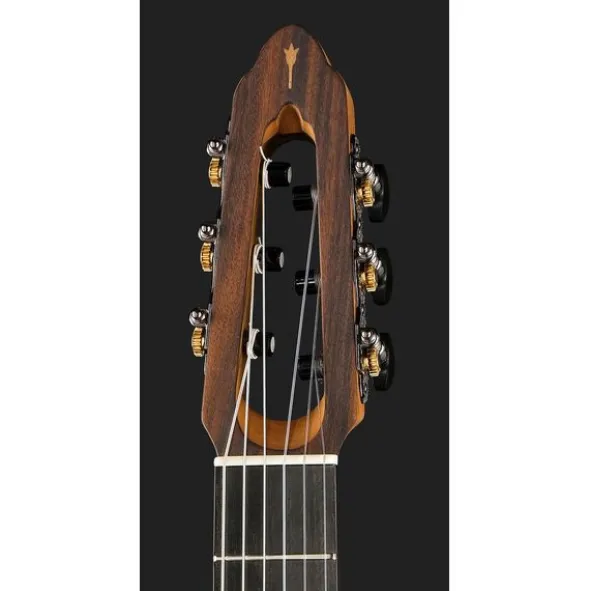 NOVA Guitars Innovator w/PU