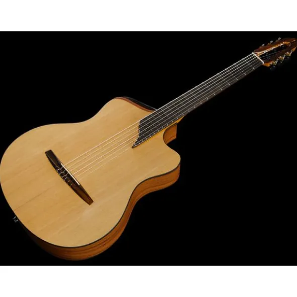 NOVA Guitars Innovator w/PU