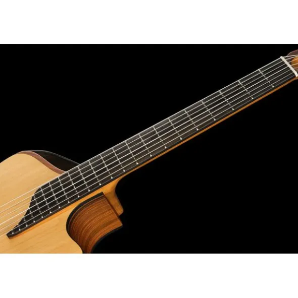 NOVA Guitars Innovator w/PU
