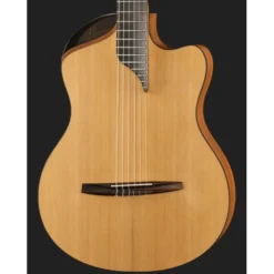 NOVA Guitars Innovator w/PU
