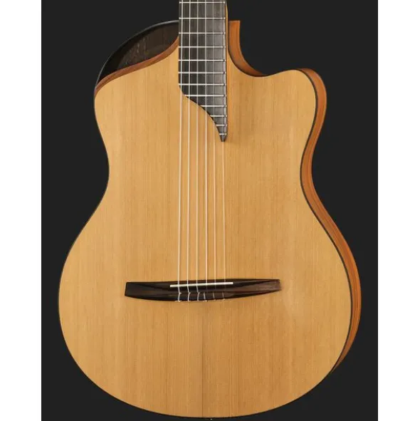 NOVA Guitars Innovator w/PU