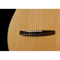 NOVA Guitars Innovator w/PU