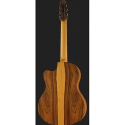 NOVA Guitars Innovator w/PU