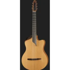 NOVA Guitars Innovator w/PU