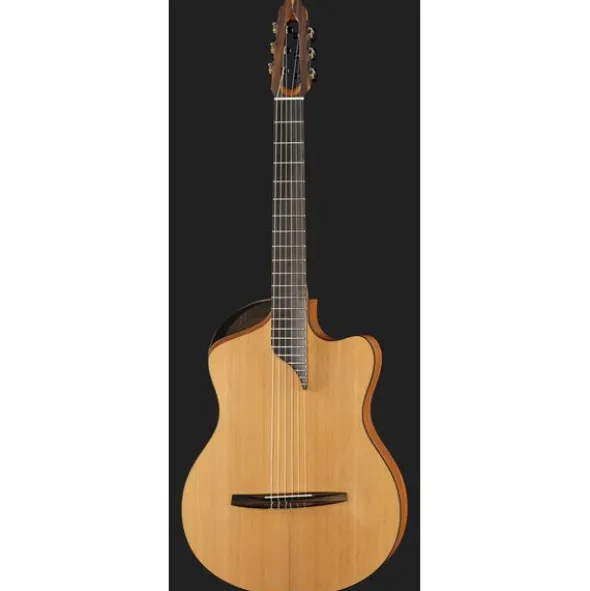 NOVA Guitars Innovator w/PU