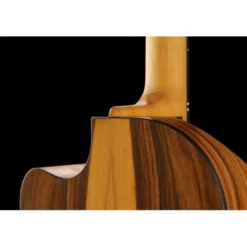 NOVA Guitars Innovator w/PU