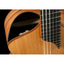 NOVA Guitars Innovator w/PU
