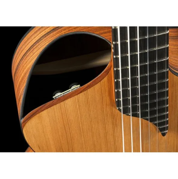 NOVA Guitars Innovator w/PU