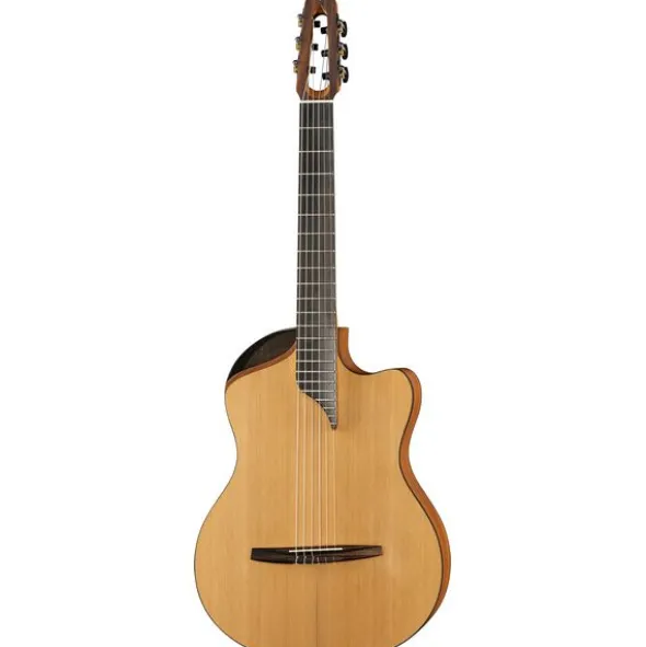 NOVA Guitars Innovator w/PU