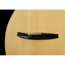 NOVA Guitars Revelator w/PU