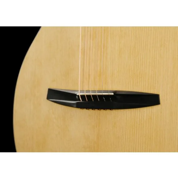 NOVA Guitars Revelator w/PU
