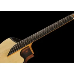 NOVA Guitars Revelator w/PU