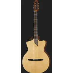 NOVA Guitars Revelator w/PU