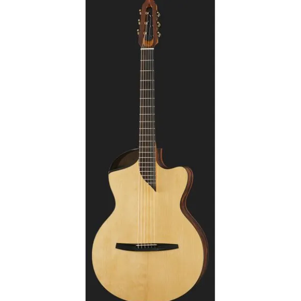 NOVA Guitars Revelator w/PU