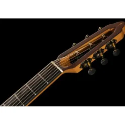 NOVA Guitars Revelator w/PU