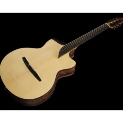 NOVA Guitars Revelator w/PU