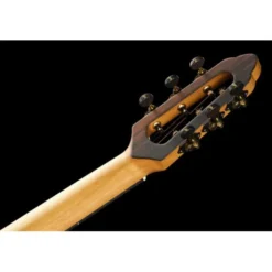 NOVA Guitars Revelator w/PU