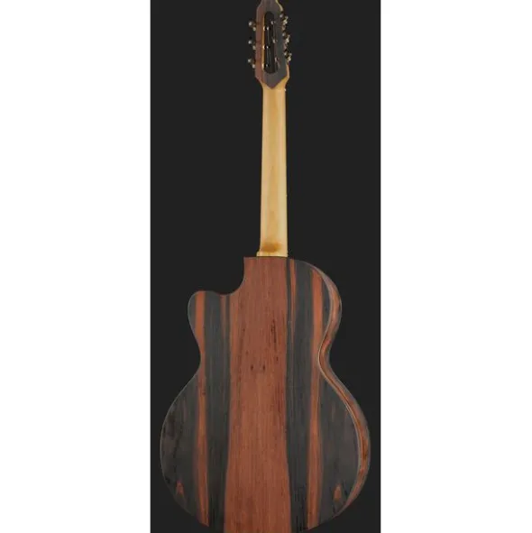 NOVA Guitars Revelator w/PU