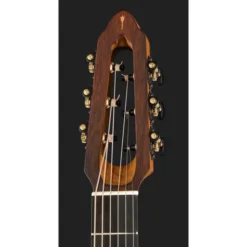 NOVA Guitars Revelator w/PU