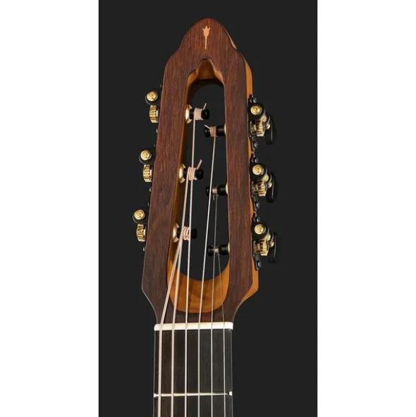 NOVA Guitars Revelator w/PU