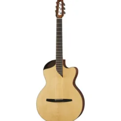 NOVA Guitars Revelator w/PU