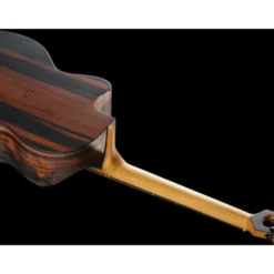 NOVA Guitars Revelator w/PU
