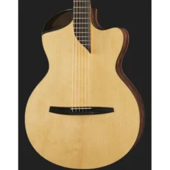 NOVA Guitars Revelator w/PU