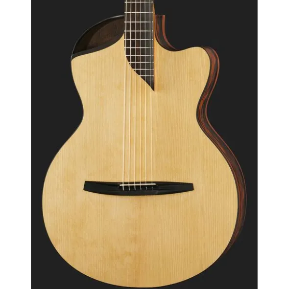 NOVA Guitars Revelator w/PU
