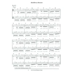 Oak Publications Teach Yourself Bluegrass Banjo