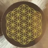 Oetken Gongs 36" Flower of Life 64Hz/C2